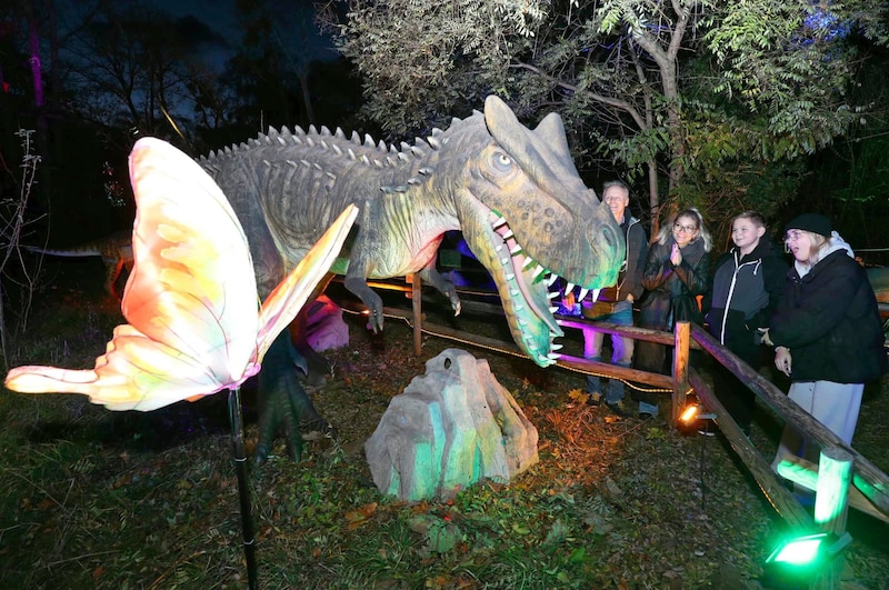 Light butterflies and prehistoric lizards delight the public. (Bild: Reinhard Judt)