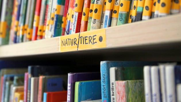 Gleich mehrere Kindergärten waren im Visier des Landes Kärnten (Symbolbild).