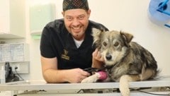 Veterinär Wolfgang Kneifel  mit seinem Schützling, der so um sein Leben gekämpft hat. Er braucht nach der Genesung ein liebevolles neues Zuhause. (Bild: Jauschowetz Christian)