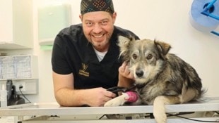 Veterinär Wolfgang Kneifel  mit seinem Schützling, der so um sein Leben gekämpft hat. Er braucht nach der Genesung ein liebevolles neues Zuhause. (Bild: Jauschowetz Christian/Christian Jauschowetz)