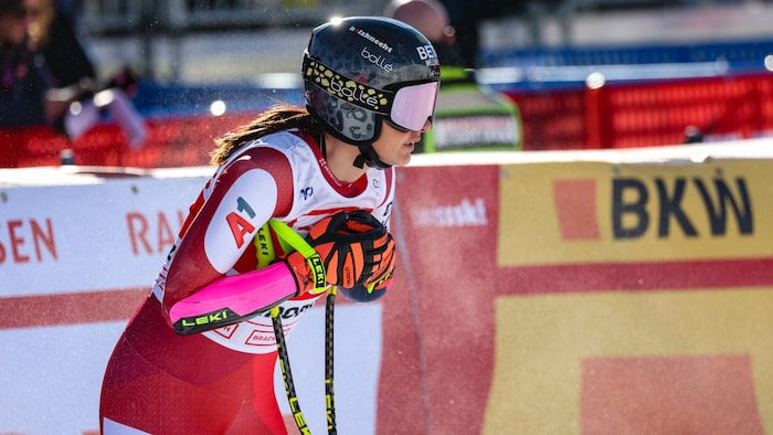 Stephanie Venier