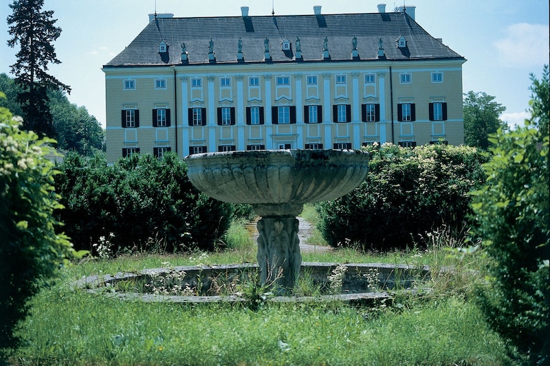 „Der Stammsitz in Frohsdorf ist uns flöten gegangen“, erzählt Markus Hoyos. (Bild: Gerhard Trumler / brandstaetter images / picturedesk.com)