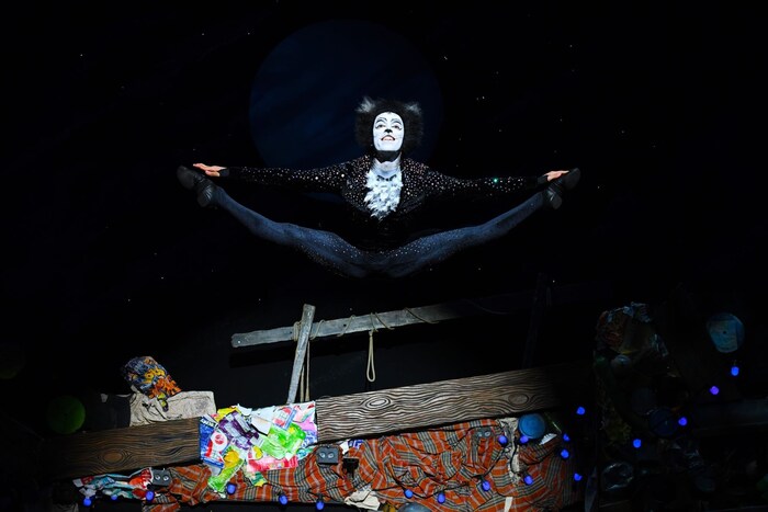 Charakterstarke Figuren, großartige Melodien und fantastische Kostüme: „Cats“ muss man sehen!