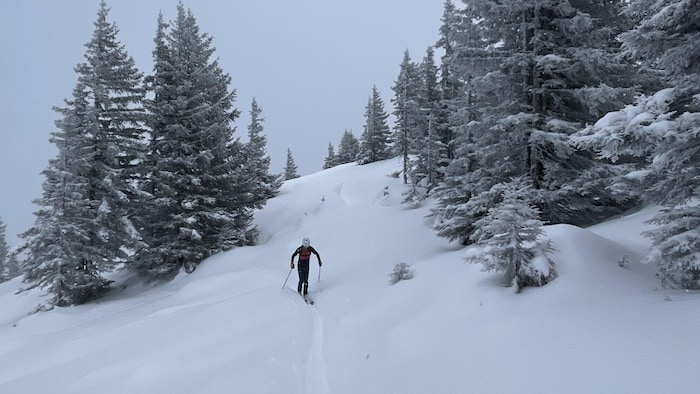 Daniel is already going ski touring again. Not just uphill...