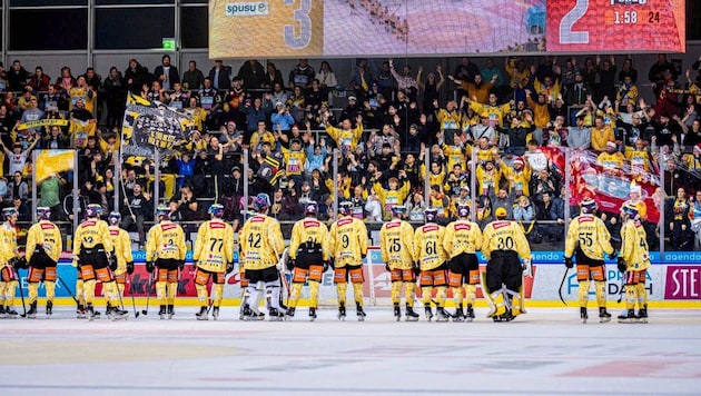 Die Capitals wollen wieder mit ihren Fans jubeln. (Bild: GEPA/GEPA pictures)