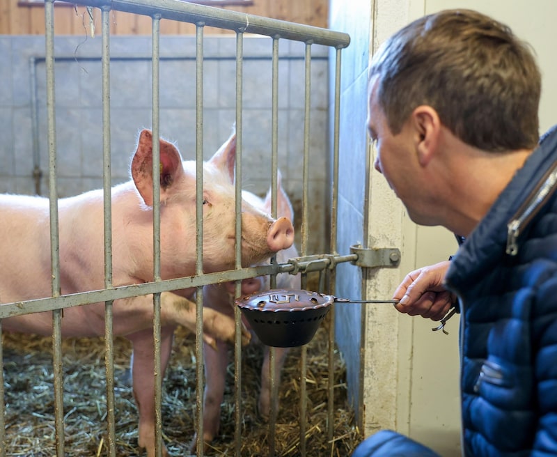 What's that smell? Molly and Malone are curious too. (Bild: Hölzl Roland)