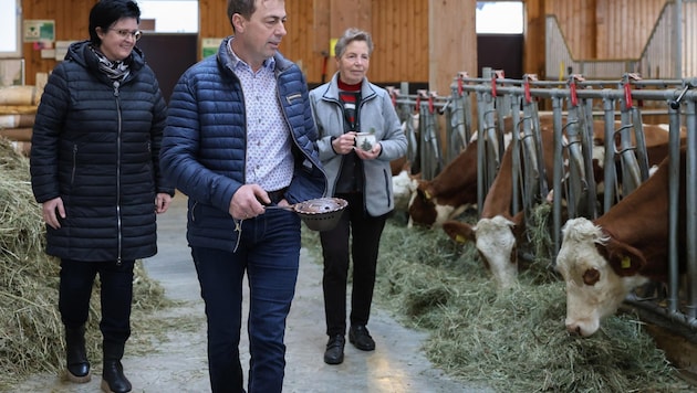 The barn is a fixed point when smoking: "It's remarkable how the animals react," say the Hubers, explaining that there is always complete peace and quiet. (Bild: Hölzl Roland)