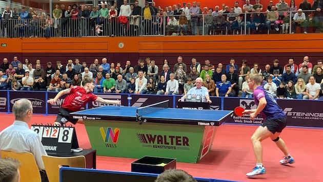 Felix Wetzel (l.) sensationally defeated European champion Alexis Lebrun (Bild: Oliver Gaisbauer)