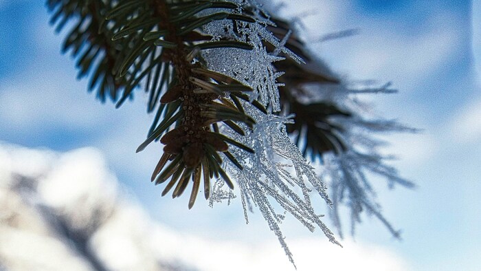 A beautiful natural spectacle.