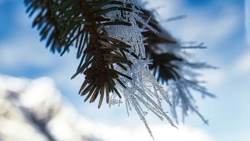 A beautiful natural spectacle. (Bild: Weges)