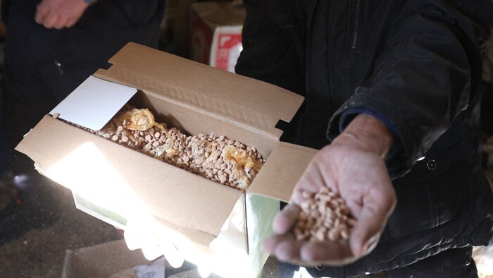 The Syrian rebels claim to have found around one million Captagon pills. 