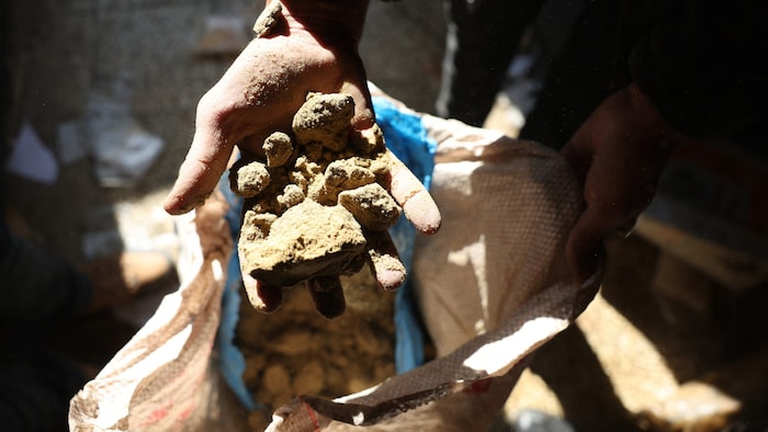 Other drugs such as hashish were also destroyed. 