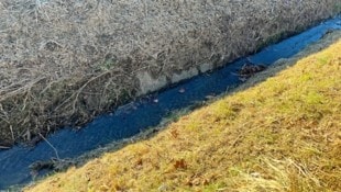 In diesem Bachbett fanden Spaziergänger am Christtag die Leiche der Frau. Sie starb an den Folgen der Unterkühlung.  (Bild: Jauschowetz Christian)