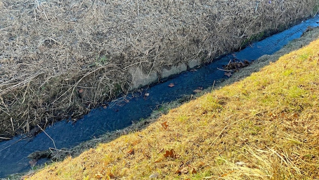 Walkers found the woman's body in this streambed on Christmas Day. She died as a result of hypothermia. (Bild: Jauschowetz Christian)