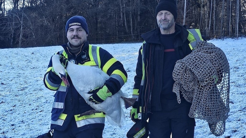 Die Kameraden Laßnigg Markus und Lassnig Erwin mit dem Tier (Bild: Hauptfeuerwache Villach)