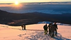 Natur pur für die Wurz-Gipfelstürmer auf den Kilimanjaro (Bild: Alex Wurz)