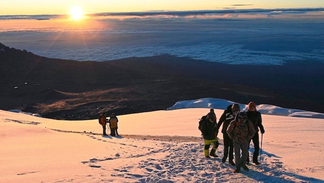 Natur pur für die Wurz-Gipfelstürmer auf den Kilimanjaro (Bild: Alex Wurz)