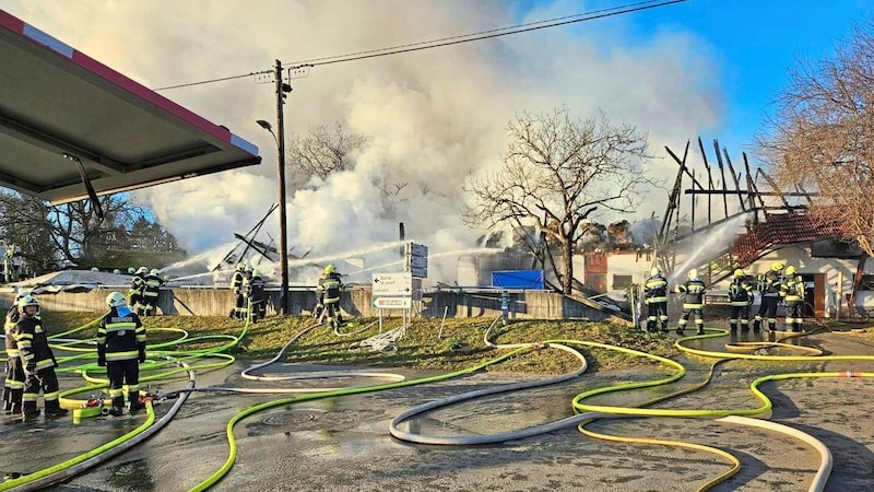 ... und ließen nur ein Gerippe zurück. (Bild: Freiwillige Feuerwehr St. Josef in der Weststeiermark)