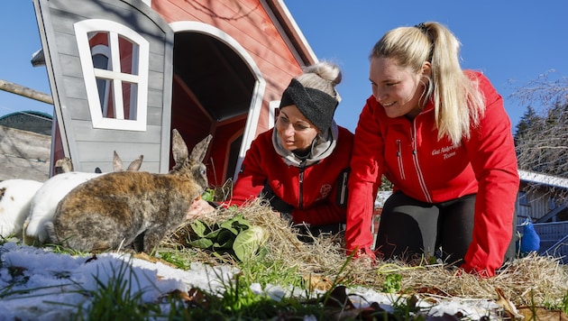 Die Pflegerinnen Michi und Eva kümmern sich um die Hoppler. Bis zum 24. Dezember waren die putzigen Tiere die Lieblinge auf einem Salzburger Adventmarkt. (Bild: Tschepp Markus)