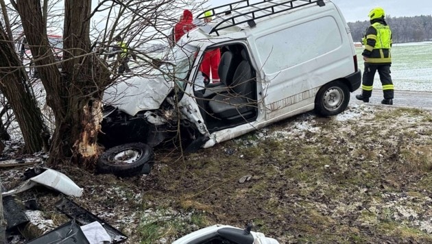 Der Wagen schlug nur wenige Meter neben dem Firmengelände in einer Weide ein, wo gerade die Kinder spielten. (Bild: Scharinger Daniel/Pressefoto Scharinger © Daniel Scharinger)