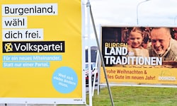 Einen Wildwuchs an Werbeplakaten soll die Obergrenze bei den Wahlkampfausgaben für die Parteien ...