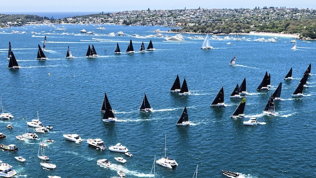 Beim Start der Regatta im Hafen von Sydney ist noch alles gut gewesen ... (Bild: AFP)