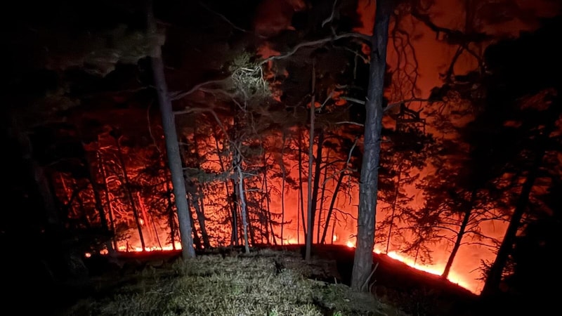 Um 20.56 Uhr ging die erste Alarmierung ein. (Bild: BFVGU)