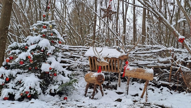 In several Vorarlberg communities, creative people have designed Christmas forests - for example in Sankt Anton in Montafon. (Bild: Bergauer Rubina)