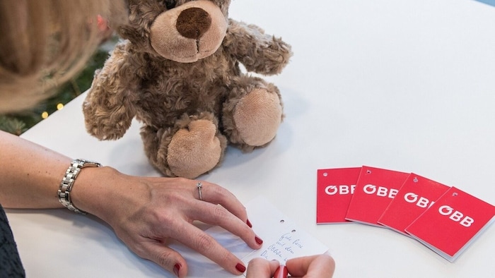 Auch dieser Teddy kam wieder zurück zu seinem Besitzer.