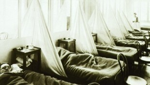 Plötzlich erkrankten hunderte Soldaten an einer bis dato nicht bekannten Influenzaform. 