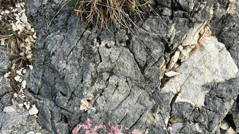 Stelle (re.) wo ein Schild mit Gewalt aus dem Fels ausgebrochen wurde (Bild: Naturfreunde Gmunden)