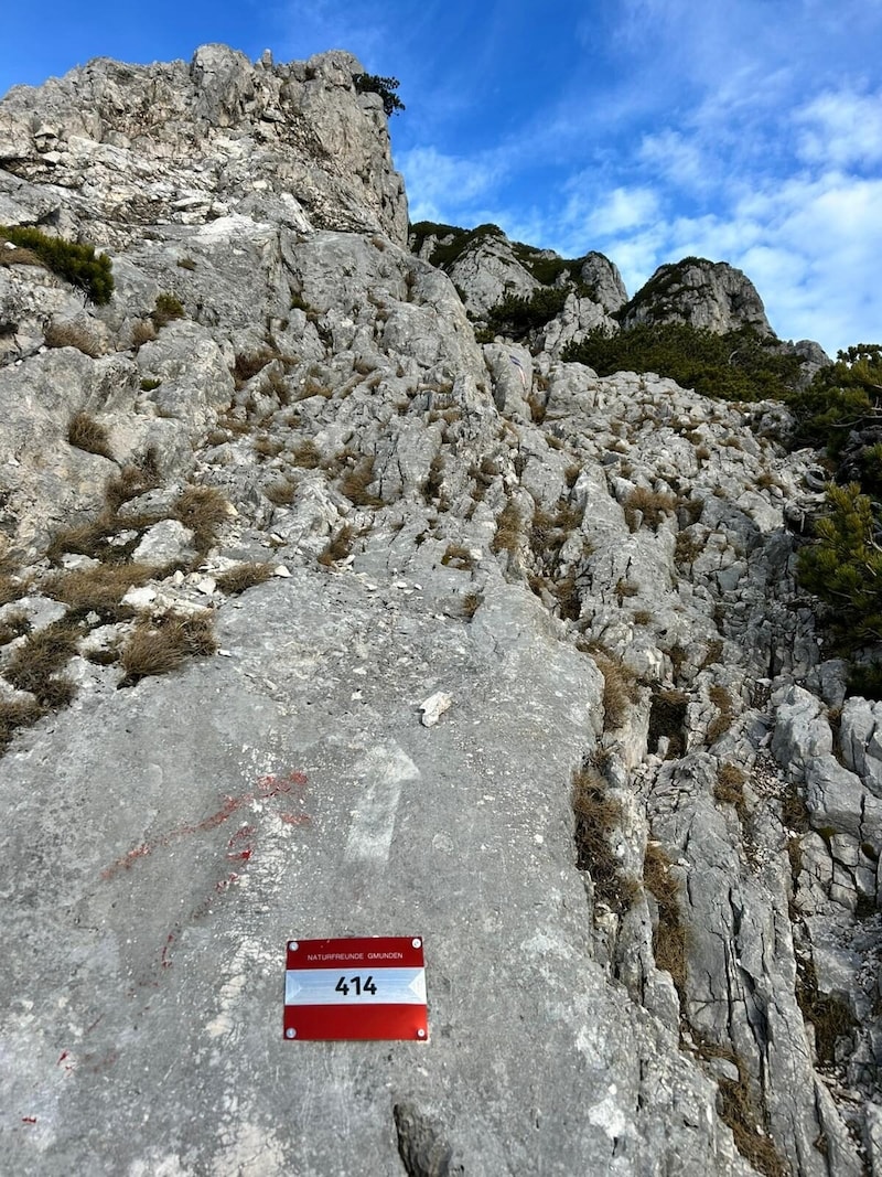 Naturfreundesteig am Traunstein (Bild: Naturfreunde Gmunden)