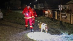 Auch Hunde waren bei der Suche im Einsatz. (Bild: Matthias Lauber/laumat.at)