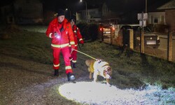Auch Hunde waren bei der Suche im Einsatz.