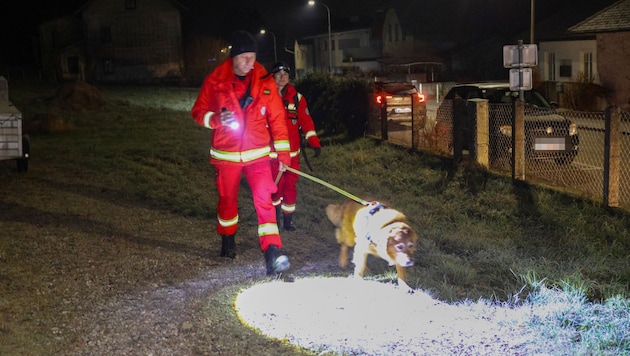 Dogs were also used in the search. (Bild: Matthias Lauber/laumat.at)