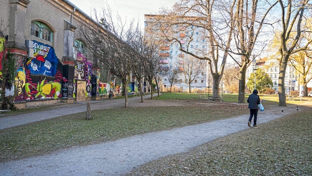 Dramatic incidents occurred around the Rösselmühlpark (Bild: Juergen Fuchs)