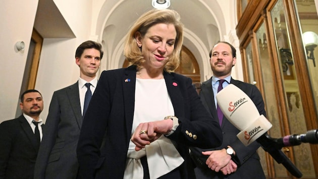 Höchste Zeit für Reformen: Die pinke Frontfrau Beate Meinl-Reisinger und ihre Verhandler Douglas Hoyos und Nikolaus Scherak wagen sich hinter den Kulissen auch an die Pensionen. (Bild: APA/HELMUT FOHRINGER / APA / picturedesk.com)