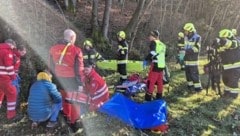 Der Unfall ereignete sich am Waldrand.  (Bild: FF Hörmsdorf)