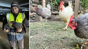 Bergbahn-Mitarbeiter Zoran rettete das Huhn aus der Garage.