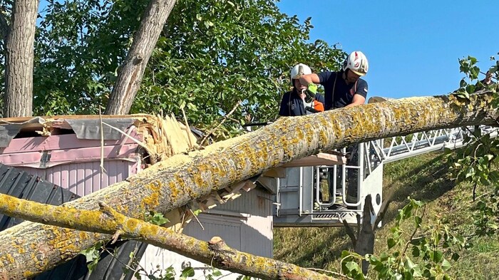 Wiener Einsatzkräfte in Aktion – gemeinsam gegen die Flut und für die Stadt.