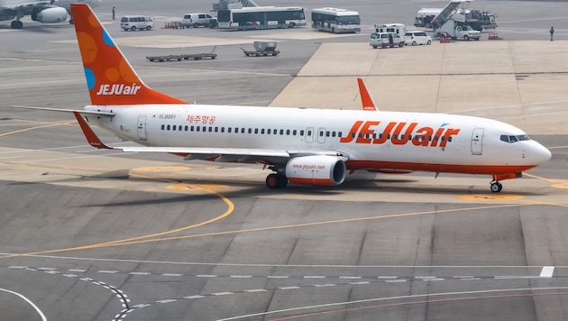 A Boeing 737-800 of the South Korean low-cost airline Jeju (archive photo) (Bild: © Markus Mainka (www.aviation-stock.de))