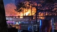 Die Flammen griffen in der Donaustadt rasch auf umliegende Bäume über. (Bild: Privat)