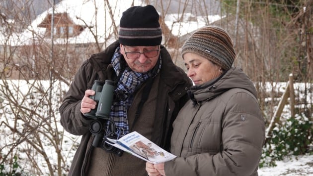 (Bild: BirdLife Österreich/Lisa Lugerbauer)