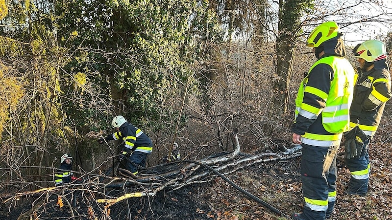 Strenuous extinguishing work in Laßnitzhöhe (Bild: Freiwillige Feuerwehr Laßnitzhöhe)