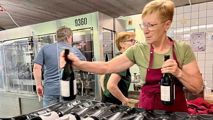 Mit seinem Betrieb zählt er zu den Aushängeschildern der aufstrebenden Weinwirtschaft.