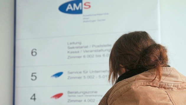 Der Anteil an arbeitslosen Ausländern, die auf Jobsuche sind, ist im Burgenland gering.