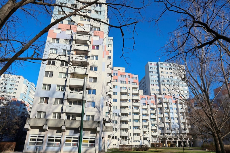 Der Robert-Koch-Hof in Floridsdorf: Imme wieder gerät der riesige Gemeindebau in Verruf. Die Wohnhausanlage wird auch oft als „Klein-Manhattan“ oder „Lego-Stadt“ bezeichnet. (Bild: Zwefo)