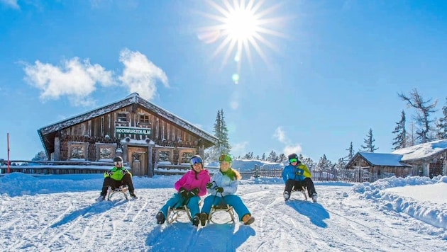 In this picture, you can literally hear the exuberant laughter (Bild: Planai Hochwurzen-Bahn)