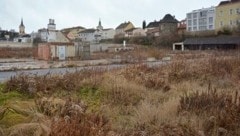 Gstetten im Stadtkern von Zwettl anstatt Einkaufszentrum: Der Grund verwildert seit Jahren. (Bild: Stadt Zwettl)