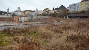 Gstetten im Stadtkern von Zwettl anstatt Einkaufszentrum: Der Grund verwildert seit Jahren. (Bild: Stadt Zwettl)